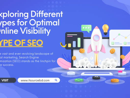 Exploring Different Types for Optimal Online Visibility