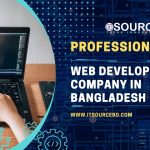 Professional Web Development Company In Bangladesh