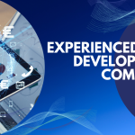 experienced web development company in bangladesh